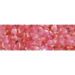 Ursus TRANSP.PAPIER "FLORA"115G.50x61CM,MOT.06