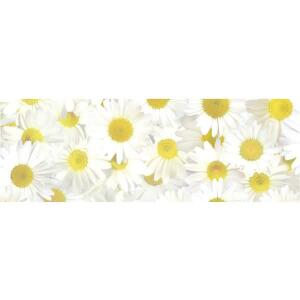 Ursus TRANSP.PAPIER "FLORA"115G.50x61CM,MOT.08