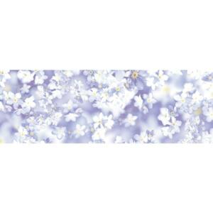 Ursus TRANSP.ROLLE "FLORA"115G.50x61CM,MOT.01
