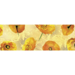Ursus TRANSP.ROLLE "FLORA"115G.50x61CM,MOT.04