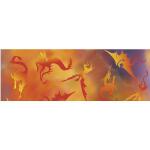 Ursus TRANSP.ROLLE "FAUNA"115G.50x61CM,DRACHEN