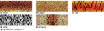 Ursus TRANSP.ROLLE "TIERFELL"115G.50x61CM,LEOPARD