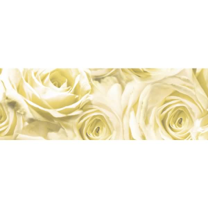 Ursus TRANSP.PAPIER "ROSEN"115G.50x61CM,CHAMPAGNER