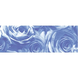 Ursus TRANSP.PAPIER "ROSEN"115G.50x61CM,MITTELBLAU