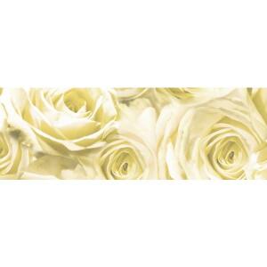Ursus TRANSP.ROLLE "ROSEN"115G.50x61CM,CHAMPAGNER