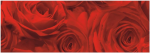 Ursus TRANSP.ROLLE "ROSEN"115G.50x61CM,ROT