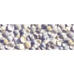 Ursus TRANSP.ROLLE "MARITIM"115G.50x61CM,MUSCHELN