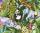 Ursus TRANSP.PAPIER "KINDERLAND"115G.A4,5BL.