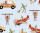 Ursus TRANSP.PAPIER "KINDERLAND"115G.A4,5BL.