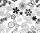 Ursus TRANSP.PAPIER "BLACK&WHITE"115G.A4,5BL.