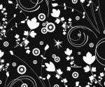 Ursus TRANSP.PAPIER "BLACK&WHITE"115G.A4,5BL.