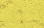 Ursus DIGITAL BANANENPAP.35G.10BL.DIN A4,CITRONENG.