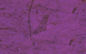 Ursus DIGITAL BANANENPAP.35G.10BL.DIN A4,PINK