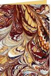 Ursus GRUSSK./COUV.11,3x16,5CM,5 PAAR ART BRAUN