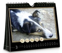 Ursus WAND- UND TISCHKALENDER 14x16,5CM, SCHWARZ