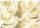 Ursus TRANSP.COUVERTS B6,5ST.ROSEN CHAMPAGNER