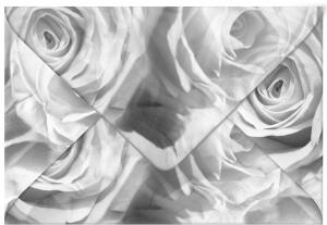 Ursus TRANSP.COUVERTS B6,5ST.ROSEN GRAPHIT