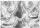Ursus TRANSP.COUVERTS B6,5ST.ROSEN GRAPHIT