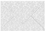 Ursus TRANSP.COUVERTS B6,5ST.WHITE LINE ORIENT