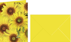 Ursus GRUSSK./COUV.DIN A6,5 PAAR FLORA SONNENBLUMEN