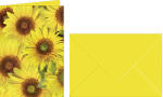 Ursus GRUSSK./COUV.DIN A6,5 PAAR FLORA SONNENBLUMEN