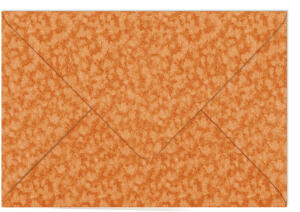 Ursus PLEASURE-COUVERTS 135G.DIN C6,10ST.ORANGE