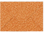 Ursus PLEASURE-COUVERTS 135G.DIN C6,10ST.ORANGE
