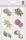 Ursus PAPIER ACCESSOIRES MOTIV:30
