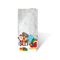 Ursus GESCHENK-BODENBEUTEL W.MANN 11,5x19CM,10ST.