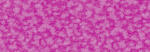 Ursus PLEASURE 135G.23x33CM,5BL.EOSIN