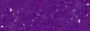 Ursus MUSCHELPAPIER 70G.23x33CM,5BL.VIOLETT