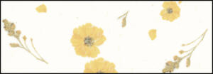 Ursus BOTANICA 35G.23x33CM,5BL.MARY