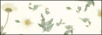 Ursus BOTANICA 35G.23x33CM,5BL.DAISY