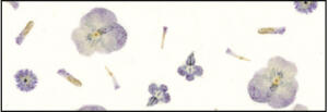 Ursus BOTANICA 35G.23x33CM,5BL.VIOLA