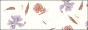 Ursus BOTANICA 35G.23x33CM,5BL.BUD