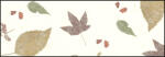 Ursus BOTANICA 35G.23x33CM,5BL.LEAF