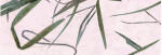 Ursus BAMBUSPAPIER 35G.23x33CM,5BL.ROSA
