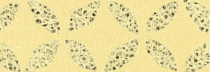 Ursus LACE PAPER 50G.23x33CM,5BL.KREISE
