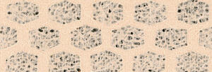 Ursus LACE PAPER 50G.23x33CM,5BL.WABEN