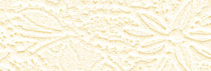 Ursus APART "SYMPHONIE"200G.23x33CM,5BL.WEISS