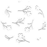 Ursus SILHOUETTENKARTON 300G.23x33CM,BLUMEN