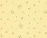 Ursus ELEGANCE 220G.23x32CM,5BL.STERNE CHAMOIS