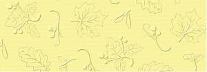 Ursus ELEGANCE 220G.23x32CM,5BL.NATUR HELLGELB