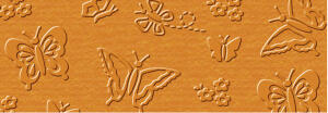 Ursus ELEGANCE 220G.23x32CM,5BL.SCHMETTERL.ORANGE