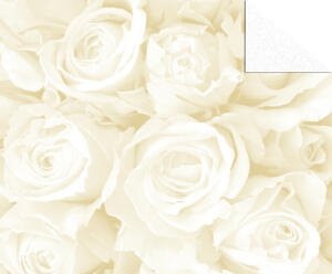 Ursus STARL."HOCHZEIT CREME/GO"240G.DIN A4,5BL.M03