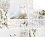 Ursus STARL."HOCHZEIT WEISS/SIL"240G.DIN...