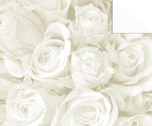 Ursus STARL."HOCHZEIT WEISS/SIL"240G.DIN A4,5BL.M03