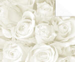 Ursus STARL."HOCHZEIT WEISS/SIL"240G.DIN...
