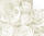 Ursus STARL."HOCHZEIT WEISS/SIL"240G.DIN A4,5BL.M03