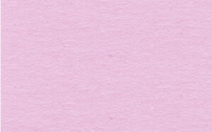 Ursus TONKTN.220G.DIN A4,100BL.ROSA
